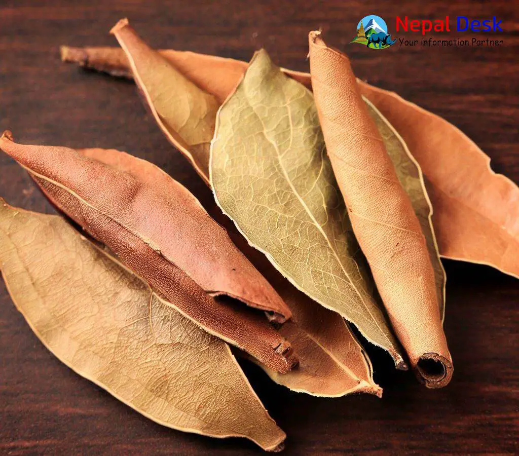 Indian Bay Leaf (Tejpatta) Aromatic Spice & Herb NepalDesk